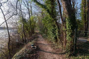 Chemin balade Fosse aux carpes