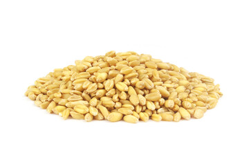Heap of wheat grains isolated on white background