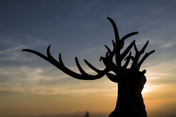 Silhouette of deer antlers. Sunrise in the mountains. Beautifully colored sky. Central Europe, Czech Republic, Lysá Hora.