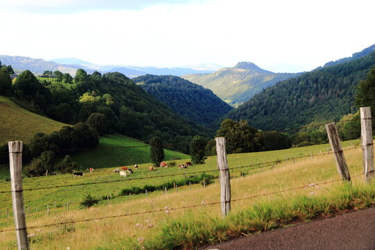 Paysages volcaniques d'Auvergne