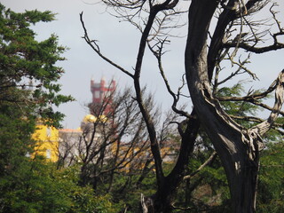 La ciudad de Sintra y su peculiar y bonito palacio. Portugal.