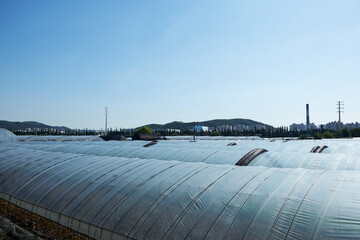 vinyl greenhouse in a rural village.
