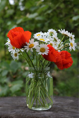 Poppy and Chamomiles flowers. Beautiful Poppy and  Chamomiles flowers in a  vase. Bouquet of stunning Flowers in glass vase on a wooden table. Beautiful bouquet of flowers on nature background