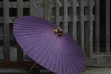 japanese traditional umbrella
