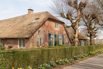 Fototapeta na wymiar Small thatched farmhouse in the countryside in the polder near the village of Hoogland in the Netherlands.