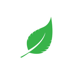 Fresh green isolated plant seen and leaf vector design