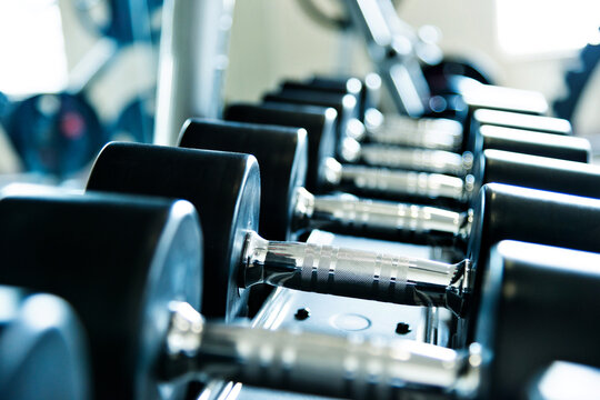 Rows of dumbbells in the gym