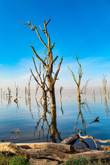 Central Kenya in East Africa.