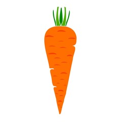 Illustration of carrot isolated. Flat design isolated vector. Flat carrot icon. Carrot for web, design, button, printing, decoration, receipt