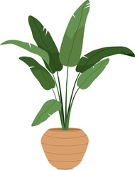 Trendy House Plant in Pot Colored Illustartion