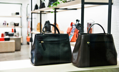 Two luxury handbags in a boutique store