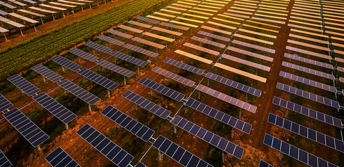 Aerial shot of sunrise sunlight shining on solar photovoltaic panels
