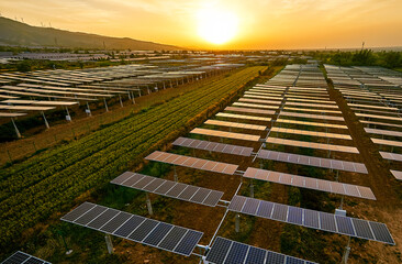 Aerial shot of sunrise sunlight shining on solar photovoltaic panels