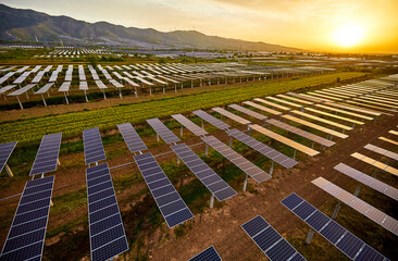 Aerial shot of sunrise sunlight shining on solar photovoltaic panels