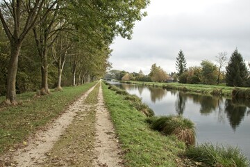 landscape with river and trees