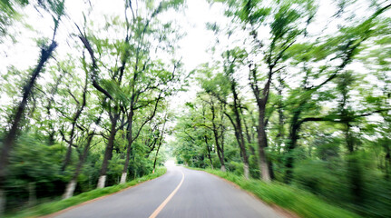 Obraz premium Forest road in motion blur