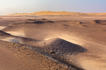 Landscape with sand dunes in the Namib desert along the Atlantic coast
