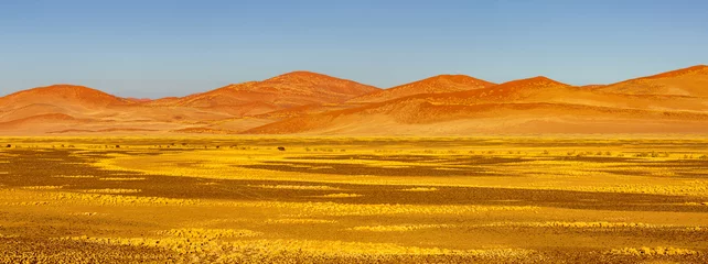 Foto op Aluminium Panorama image of a landscape with orange colored sand-dunes in the Namib desert in the vicinity of Sesriem, Namibia © Chris