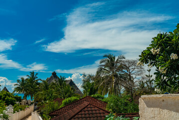 Fototapeta na wymiar Roof tops and palms in african village Kendwa, Zanzibar island, Tanzania