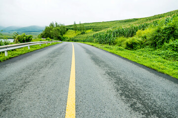 The road to the mountain