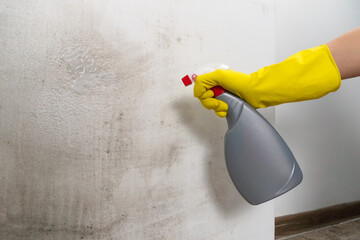 Close-up of a woman's hand in yellow rubber gloves pricks a mold remedy on the wall, copy space