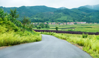 Asphalt road  leading  to the mountain village in China
