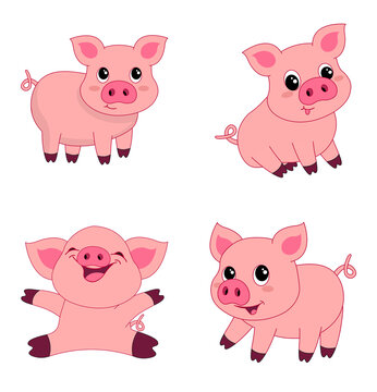 Cute little piggy