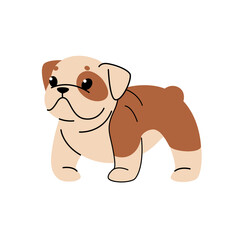 Obraz premium Bulldog. Cute dog character. Vector illustration in cartoon style for poster, postcard.