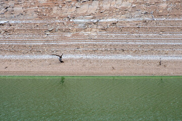 Dead trees on the shore formed by several layers of sediment strata from the Tagus River