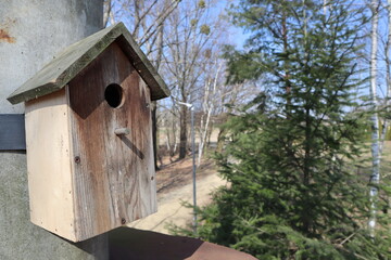 bird feeder in the forest