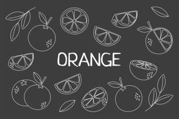 Set of whole and cutted oranges stroke on blackboard	
