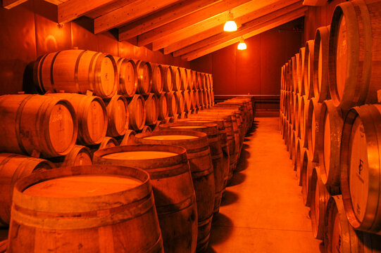 Bodegas y Vi&ntilde;edos Dominio Fournier en Berlangas de Roa, Burgos, Castilla y Le&oacute;n, Espa&ntilde;a