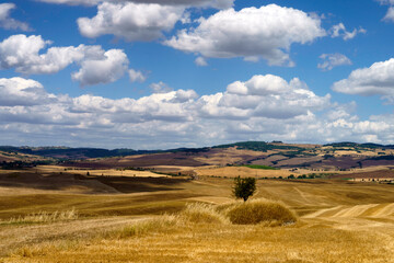 Fototapeta premium Rural landscape along the Cassia near Radicofani, Tuscany