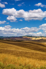 Obraz premium Rural landscape along the Cassia near Castiglione, Tuscany