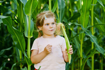Happy little toddler girl playing on corn labyrinth field on organic farm, outdoors. Funny child hild having fun with running, farming and gardening of vegetable. Active family leisure in summer.