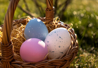Happy Easter. Basket with Easter eggs in grass on a sunny spring day - Easter decoration, banner, panorama, background with copy space for text.