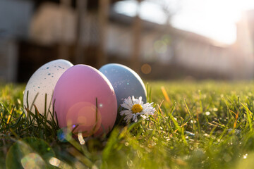 Happy Easter. Easter eggs on grass on a sunny spring day - Easter decoration, banner, panorama, background with copy space for text.