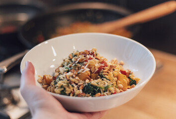 Orzo with vegetables and meat