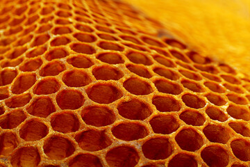 Yellow Honeycomb closeup background © Leonid Nyshko