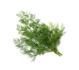 Dill Sprigs Isolated