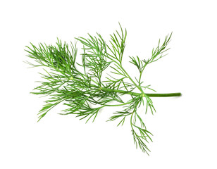 Dill Sprigs Isolated