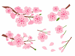 Cherry blossom twig petals, buds. Collection of cherry blossom design elements.
