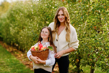 Happy school girl and beautiful mother with red apples in organic orchard. Happy woman and kid...