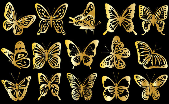 butterflies set golden silhouette on black background isolated vector