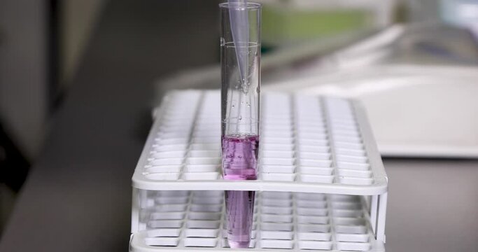 Close up of male hand of doctor scientist fill a test tube of liquid