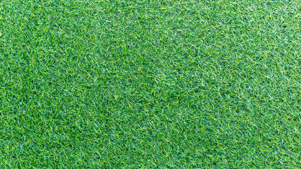 Fototapeta premium Green grass texture background and grass garden mockup concept