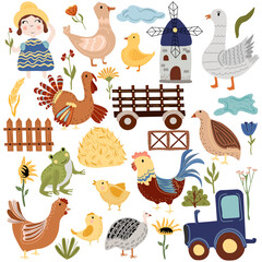 Farm of poultry, goose, quail, chicken, rooster, turkey, duck, farm truck, windmill. Rural farm poultry, on a white background. Boho farm. Vector illustration.