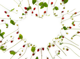 Wild strawberry berries on white background with space for text. Top view, flat lay