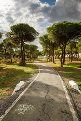 bike lane