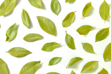 Bay leaf. A pattern of dry laurel leaves, overhead flat lay shot on a white background